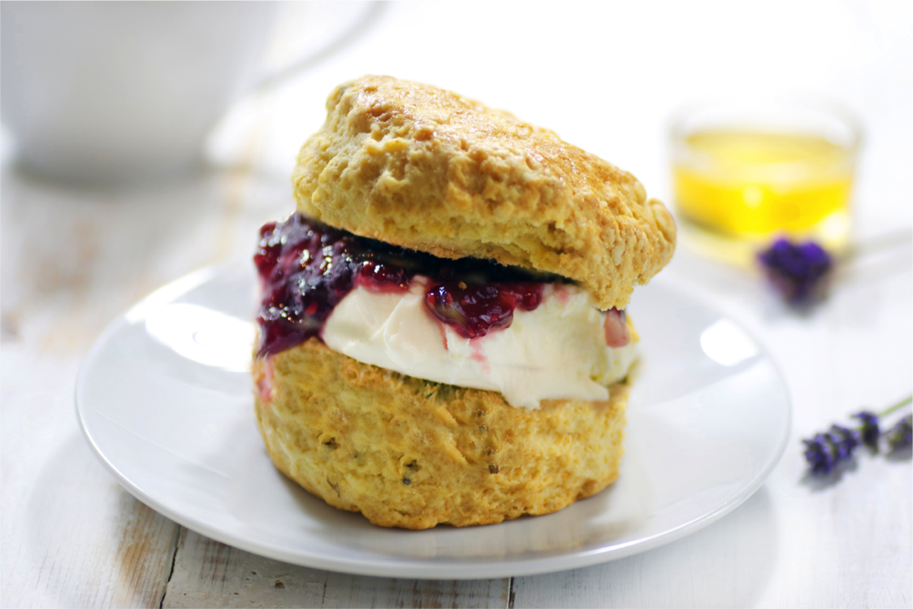 creamteaexmouth Bumble and Bee